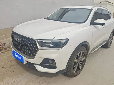 2023 Haval H6 National Trend Edition 1.5T Automatic Champion, фото 1, лот 11247988