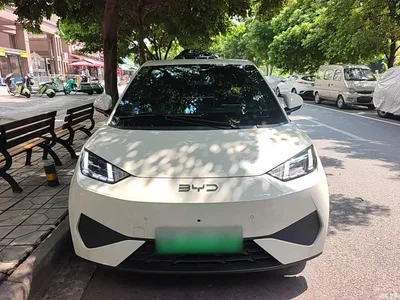 2025 BYD Seagull Smart Drive Edition 305km Freedom Version, фото 3, лот 10260351