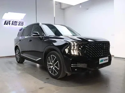 2022 GAC Trumpchi Trumpchi GS8 Pilot Series 2.0TGDI 2WD Luxury Smart Connect Edition (7-Seater), фото 4, лот 10414493