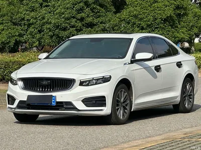 2021 Geely Xing Rui 2.0TD Luxury, фото 1, лот 10359613