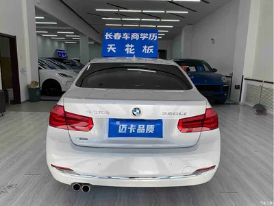 2017 BMW 3 Series 320Li xDrive Fashion, фото 4, лот 11016686