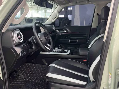 2023 Tank 300 Urban Edition 2.0T Very Stylish, фото 3, лот 11225318
