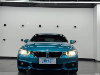 2017 BMW 4 Series 425i Gran Coupe Leading M Sport Package, фото 2, лот 10239016