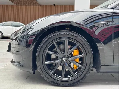 2021 Tesla Model 3 Standard Range Rear-Wheel Drive Upgrade 3D6, фото 4, лот 10354941