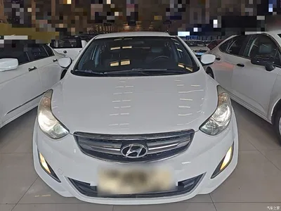 2015 Hyundai Langdong 1.6L Auto Trend, фото 3, лот 11205761