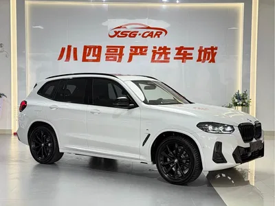 2023 BMW X3 xDrive30i Premium M Night Package, фото 3, лот 10408562