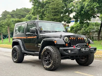 2009 Jeep Wrangler, фото 3, лот 10359911