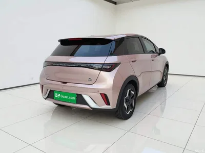 2021 BYD Dolphin 405km Freedom Edition, фото 4, лот 11191129