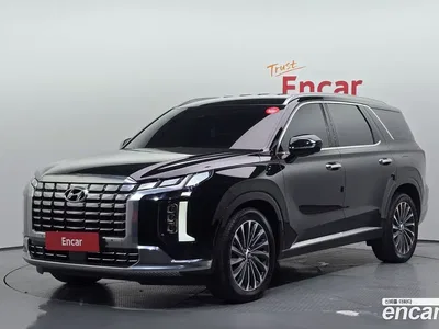 2024 Hyundai Palisade Diesel 2.2 4WD, фото 1, лот 11517991