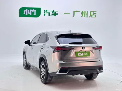 2020 Lexus NX 200 FWD Fengyi Edition China VI, фото 4, лот 10312684