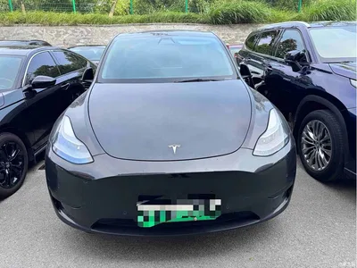 2022 Tesla Model Y Rear-Wheel Drive Version, фото 4, лот 11195704