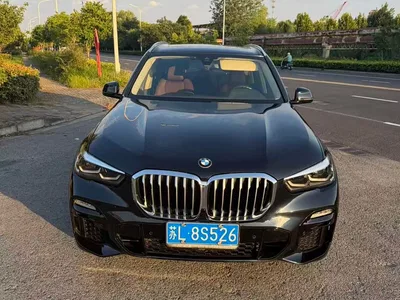2020 BMW X5 (Import) xDrive30i M Sport Package, фото 2, лот 10395796
