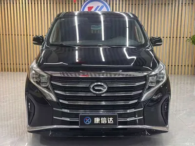 2021 GAC Trumpchi Trumpchi M8 Leading Show Series 390T Prestige Edition, фото 2, лот 11175102