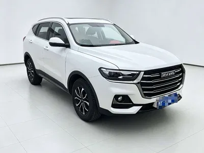 2021 Haval H6 Model 1.5T Automatic Champion Edition, фото 3, лот 11210512