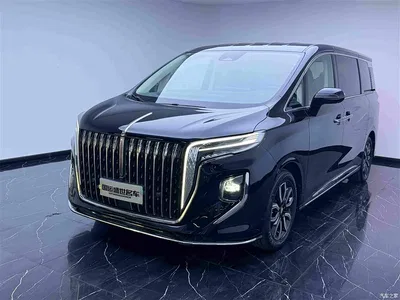 2023 Hongqi HQ9 2.0T Smart Connect Flag Smooth Edition, фото 1, лот 11062246