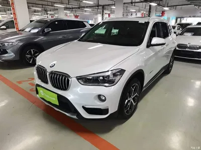 2018 BMW X1 xDrive20Li Premium Model, фото 2, лот 10999281
