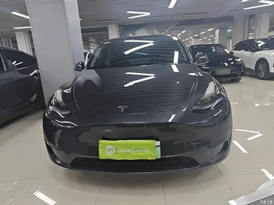 2024 Tesla Model Y Rear-Wheel Drive Version, фото 3, лот 10373455
