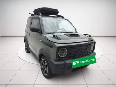 2024 Geely Galaxy Panda 200km Panda Knight, фото 3, лот 10768577