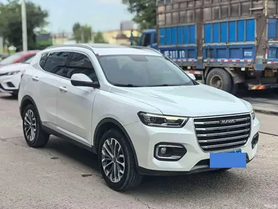 2020 Haval H6 1.5GDIT Automatic Platinum Champion Edition, фото 3, лот 10816176