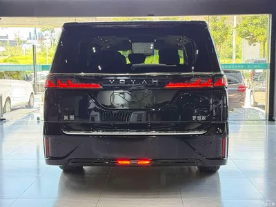 2024 Voyah Auto Voyah Dreamer PHEV Extended Range Premium Edition, фото 4, лот 10358400