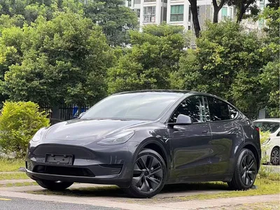 2024 Tesla Model Y Rear-Wheel Drive Version, фото 1, лот 11140676