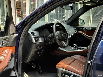 2020 BMW X7 xDrive40i Custom Limited Edition M Sport Package, фото 4, лот 10475884