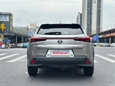2020 Lexus UX 260h Explore Fun Edition, фото 2, лот 10316058