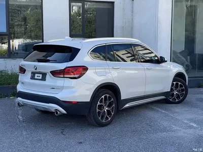 2020 BMW X1 sDrive20Li Premium Edition, фото 3, лот 10465077