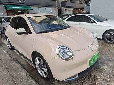 2021 Ora Good Cat 400km Standard Range Venus Edition (LFP), фото 4, лот 10447802