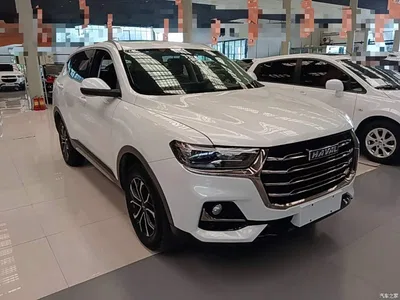 2021 Haval H6 National Trend Edition 1.5T Automatic Urban Edition, фото 4, лот 10284401