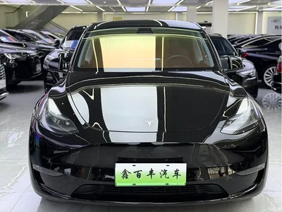 2023 Tesla Model Y Long Range All-Wheel Drive Edition, фото 2, лот 10890069