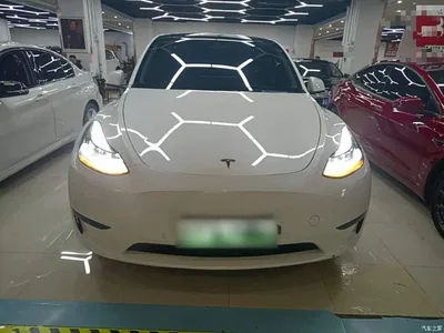 2022 Tesla Model Y Rear-Wheel Drive Version, фото 3, лот 11195609