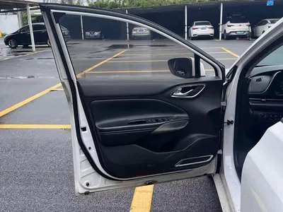 2019 Aion S Xuan 530, фото 4, лот 10240381