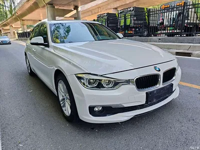 2016 BMW 3 Series 320Li Progressive, фото 3, лот 11196903