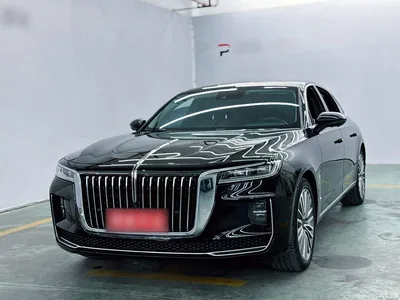2020 Hongqi H9 2.0T Smart Connection Qi Xiang Edition, фото 1, лот 10886399