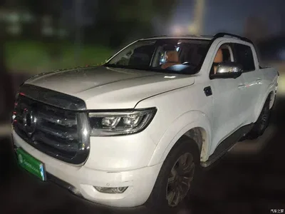 2021 Great Wall Pao 2.0T Passenger Global Edition Automatic Gasoline 4WD Sport Standard Box GW4C20B, фото 2, лот 10248886