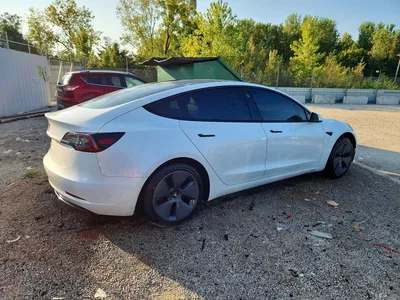 2023 TESLA MODEL 3, фото 3, лот 10855714