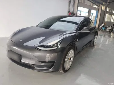 2019 Tesla Model 3 Standard Range Rear-Wheel Drive Upgrade, фото 2, лот 10455497