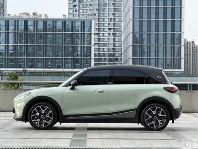 2022 smart Elf #1 Pulse Heartbeat Edition, фото 4, лот 10693725