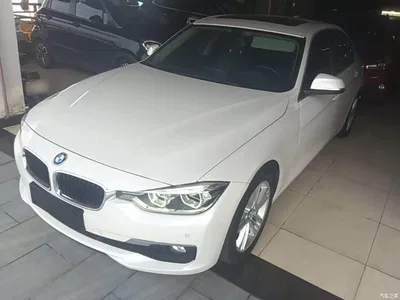 2017 BMW 3 Series 320Li Fashion, фото 1, лот 10457529