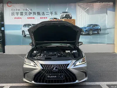2021 Lexus ES 300h Excellence Edition, фото 4, лот 11133383