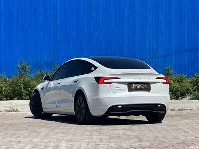 2025 Tesla Model 3 Model Rear-Wheel Drive Edition, фото 3, лот 10366607