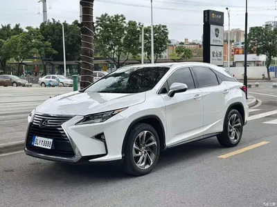 2016 Lexus RX 300 4WD Elegance Edition (China V), фото 1, лот 10316875