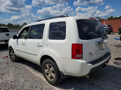 2011 HONDA PILOT EXL, фото 2, лот 10718745