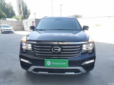 2017 GAC Trumpchi Trumpchi GS8 320T 2WD Luxury Smart Connect (7-seater), фото 3, лот 11137160