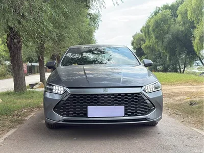 2021 BYD Qin PLUS DM-i 55KM Flagship, фото 2, лот 10828308