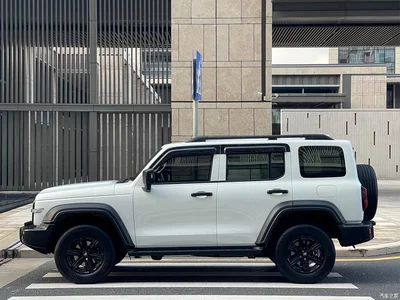 2021 Tank 300 Off-road Edition 2.0T Challenger, фото 4, лот 10344998
