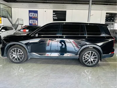 2024 GAC Trumpchi Trumpchi GS8 Navigator Series 2.0TGDI 2WD Luxury Smart Connect Edition, фото 3, лот 10420174