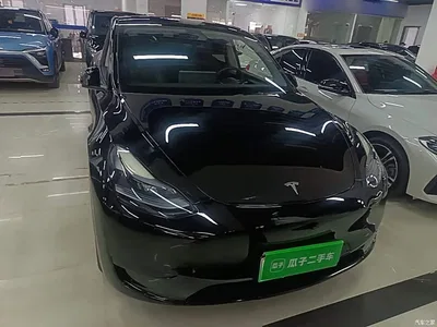 2024 Tesla Model Y Rear-Wheel Drive Version, фото 3, лот 10383260
