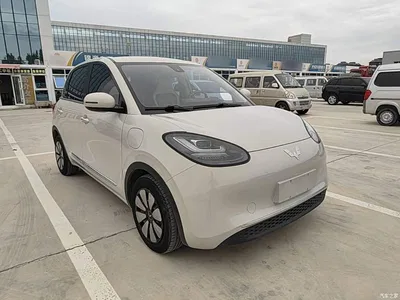 2023 Wuling Motors Wuling Bingo 203km Comfort Version, фото 4, лот 10361555